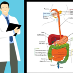 Enema Opaco: Un Estudio Radiológico del Sistema Digestivo